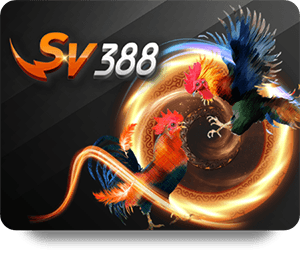 JUN88 Chính Thức 247 – Bí Quyết Chơi Casino Thắng Lớn